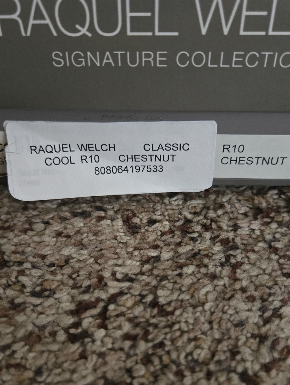 HUGE Lot Of Wigs. NWT. Raquel Welch, Toni Brattin, & a free used Rene Of Paris - Picture 4 of 12